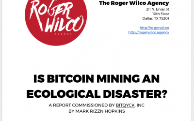 Rapid Report on the Bitcoin Blockchain’s Environmental Impact